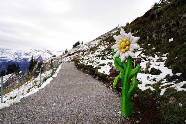 20251102-wzcjo 20251102-wzcjo