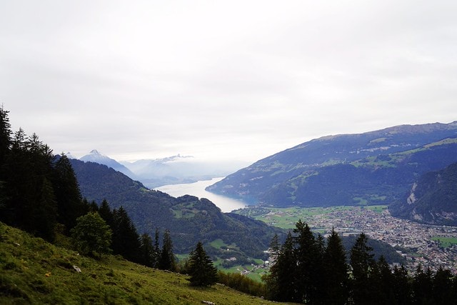 20251102-ydxib 20251102-ydxib