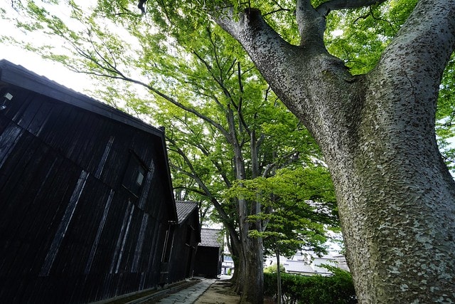 20251102-yq1sk 20251102-yq1sk