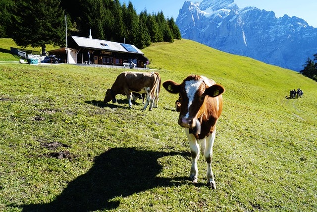 20251102-34xcb 20251102-34xcb