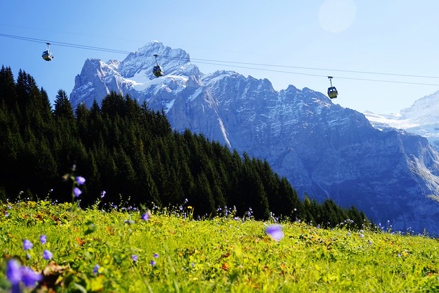 20251102-3fg7i 20251102-3fg7i