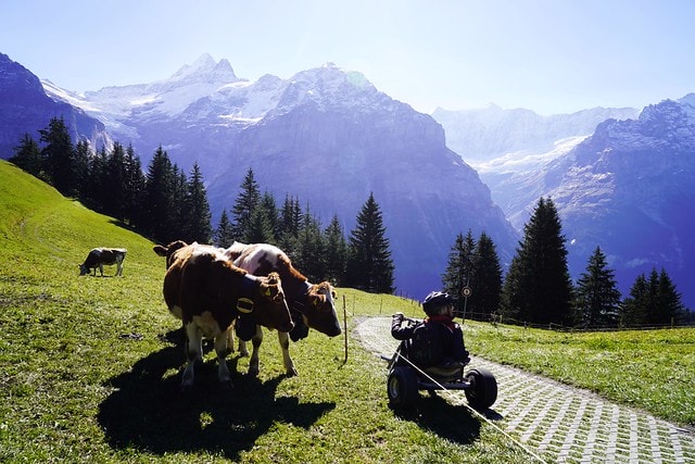 20251102-cwbtb 20251102-cwbtb