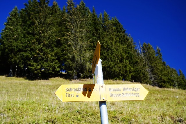 20251102-h0pfw 20251102-h0pfw