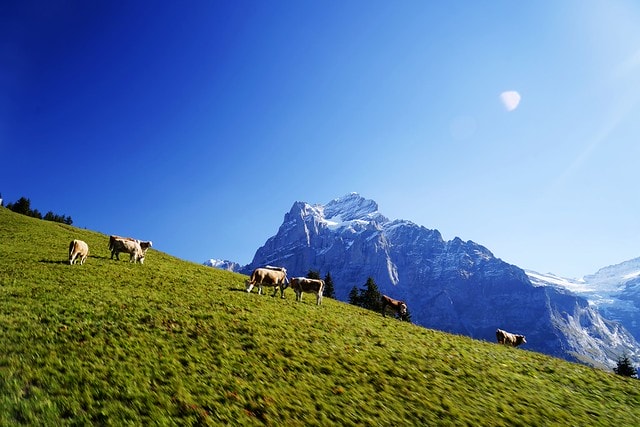 20251102-hqlc4 20251102-hqlc4