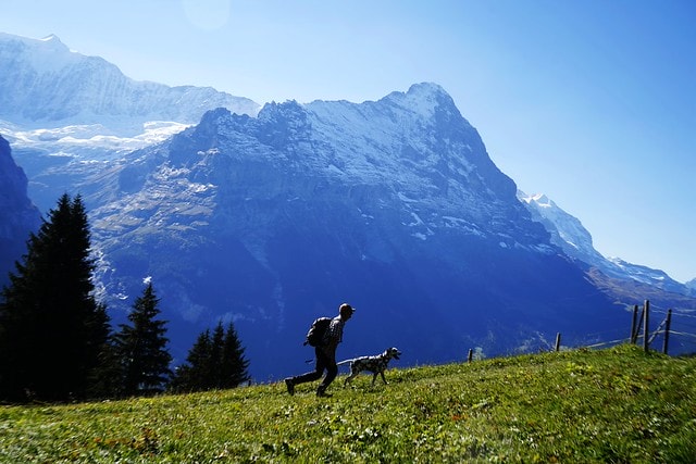 20251102-l2i51 20251102-l2i51