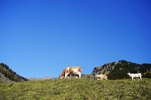 20251102-pkpvm 20251102-pkpvm