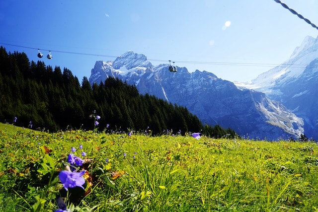 20251102-unkyl 20251102-unkyl