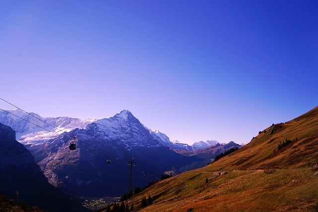 20251102-z4e4q 20251102-z4e4q