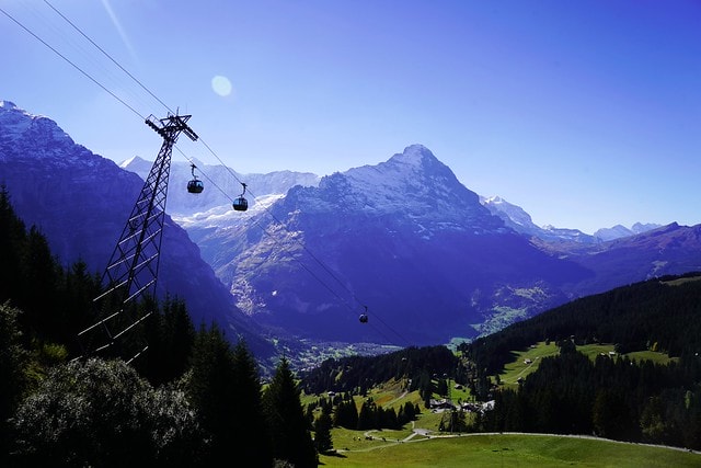 20251102-zydtf 20251102-zydtf