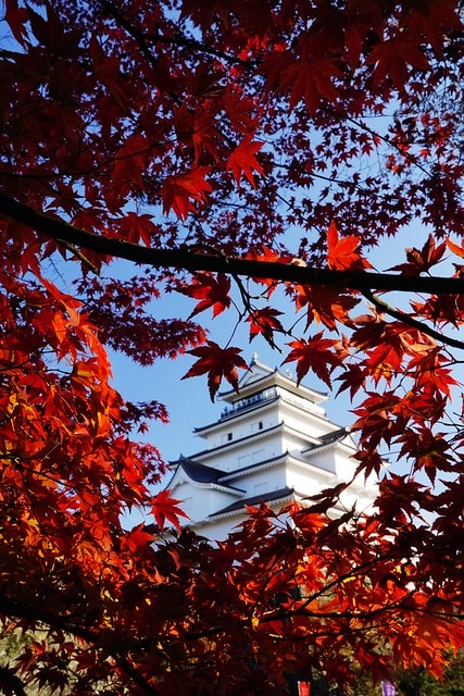 20251102-1v2xd 20251102-1v2xd