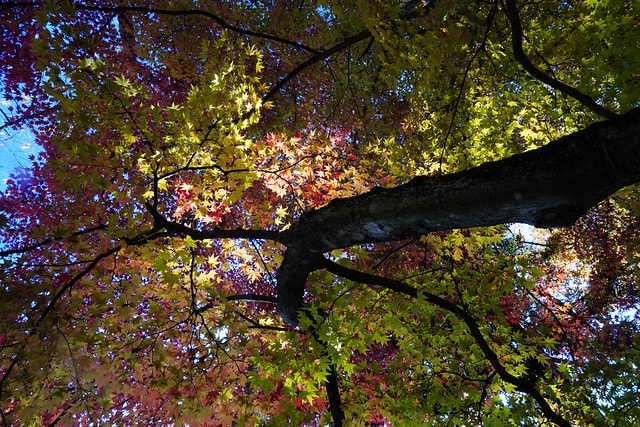 20251102-2s64v 20251102-2s64v