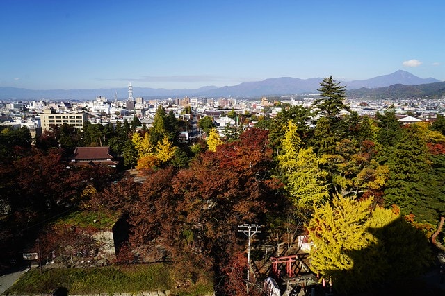 20251102-5vojy 20251102-5vojy