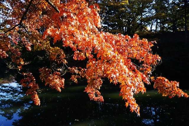 20251102-616xp 20251102-616xp