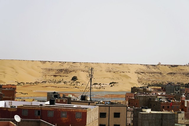 20251102-659iz 20251102-659iz