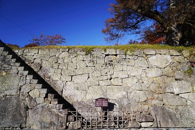 20251102-71izw 20251102-71izw