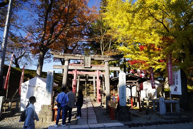 20251102-7kdgz 20251102-7kdgz