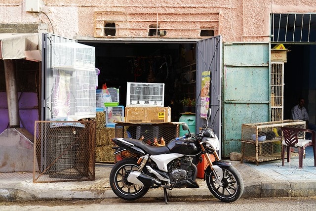 20251102-8pdmn 20251102-8pdmn