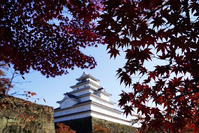 20251102-996nh 20251102-996nh