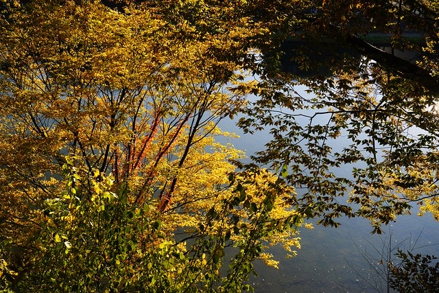 20251102-9mtpl 20251102-9mtpl