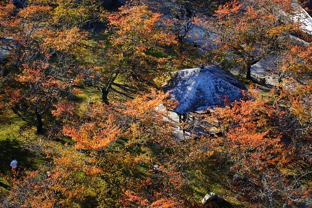 20251102-d49rr 20251102-d49rr