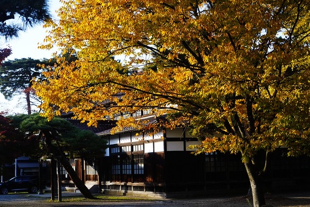 20251102-drh3v 20251102-drh3v