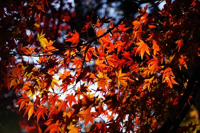 20251102-fu0j3 20251102-fu0j3