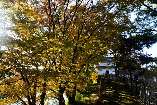 20251102-jyuya 20251102-jyuya