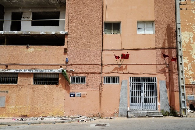 20251102-mg8c3 20251102-mg8c3