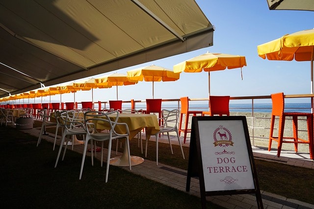 20251102-mq302 20251102-mq302