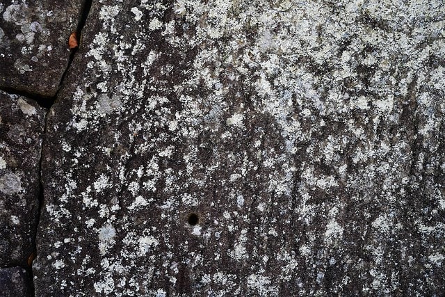 20251102-n0tmt 20251102-n0tmt