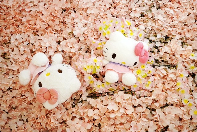 20251102-n6p5m 20251102-n6p5m