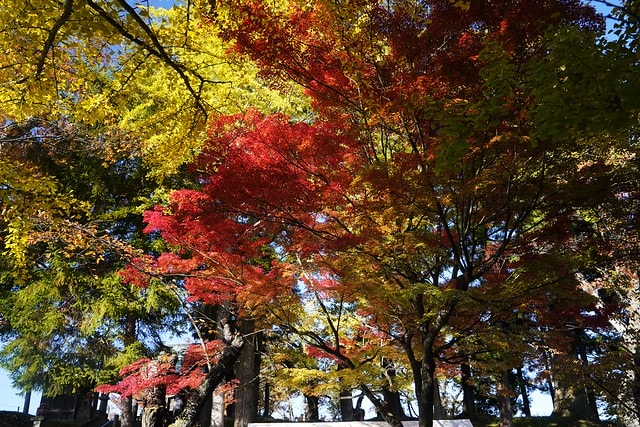 20251102-nskyq 20251102-nskyq