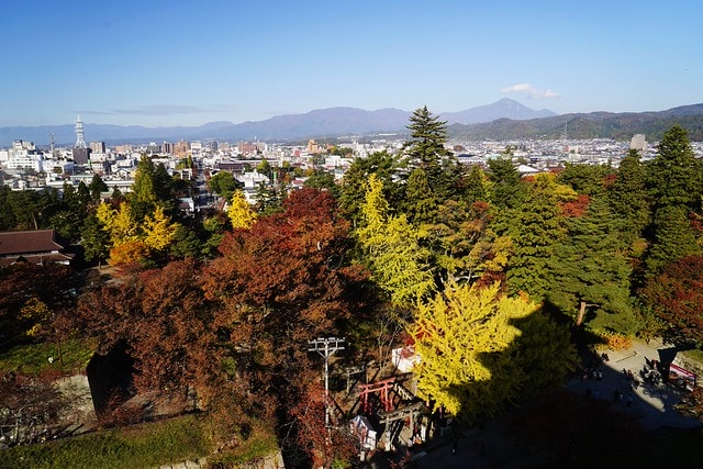 20251102-pzvox 20251102-pzvox