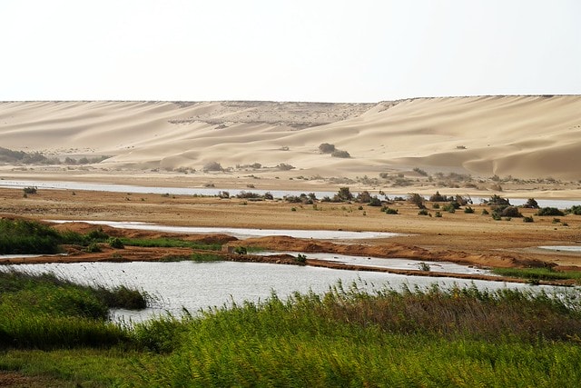 20251102-qp0go 20251102-qp0go