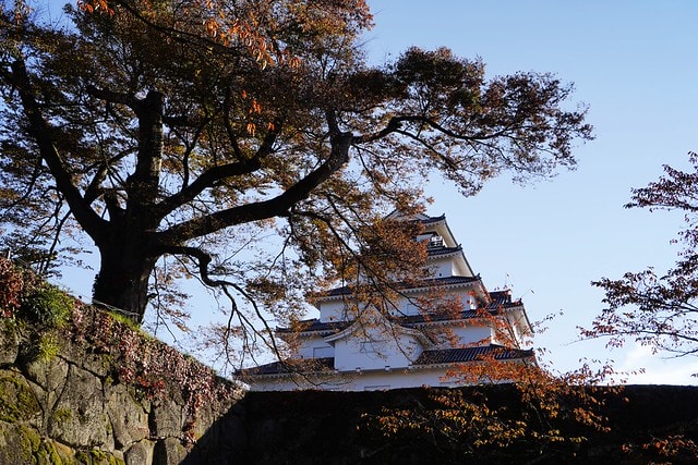 20251102-r8gyi 20251102-r8gyi