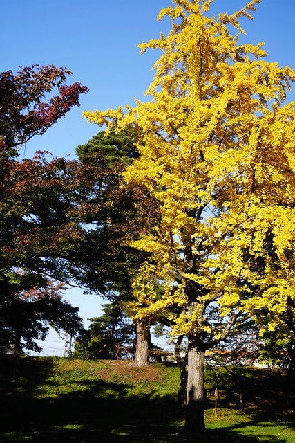 20251102-xf10h 20251102-xf10h