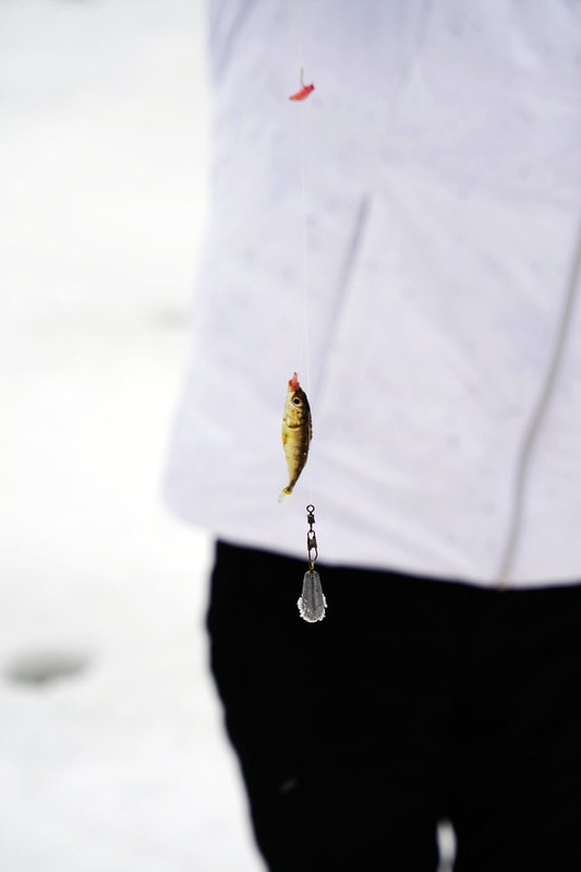 20251102-1xjla 20251102-1xjla