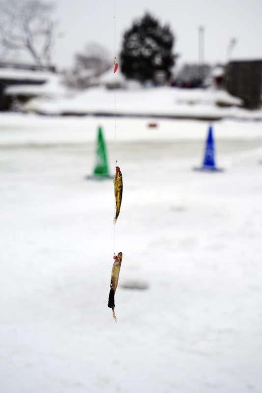 20251102-2jawq 20251102-2jawq