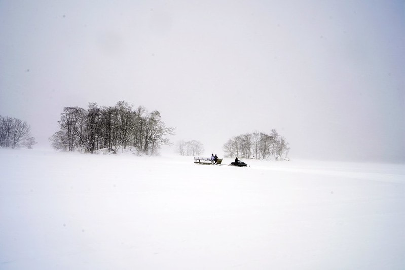 20251102-31gc5 20251102-31gc5