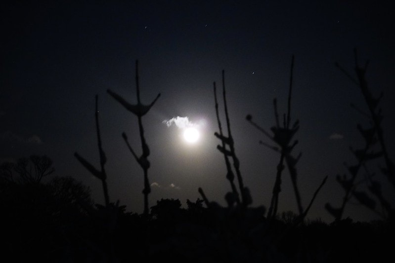 20251102-72sy6 20251102-72sy6