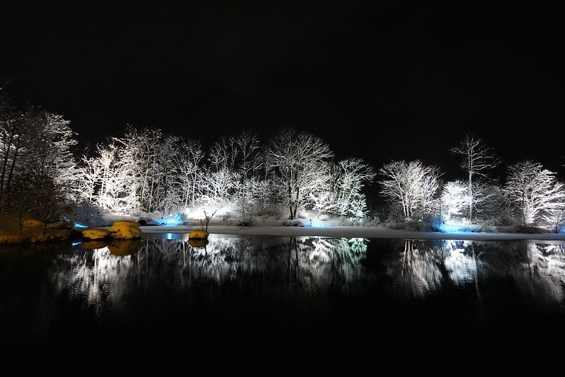 20251102-92x59-1 20251102-92x59-1