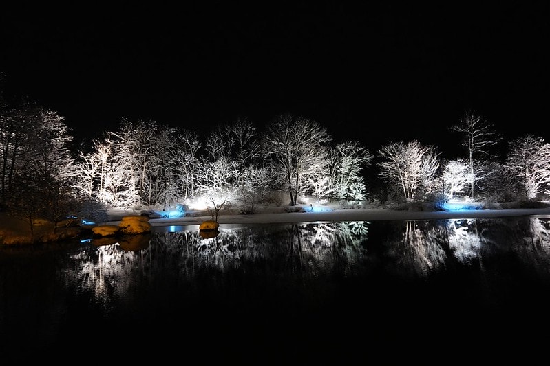 20251102-bnqzq 20251102-bnqzq