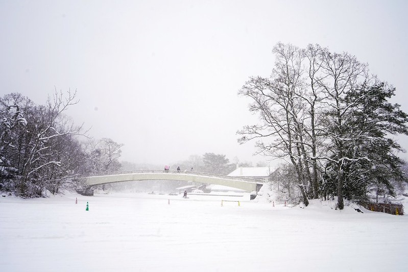 20251102-fbltw 20251102-fbltw