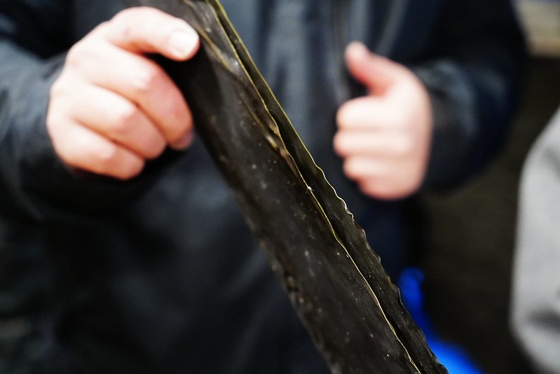 20251102-g0nbg 20251102-g0nbg