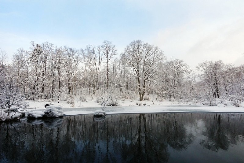 20251102-ncpcf 20251102-ncpcf