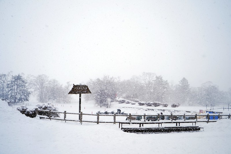 20251102-nka9q 20251102-nka9q