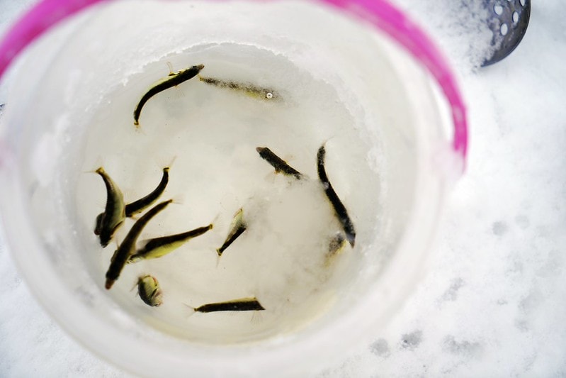 20251102-qmjzp 20251102-qmjzp