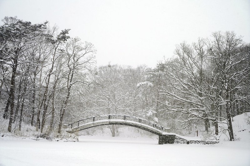 20251102-qph93 20251102-qph93