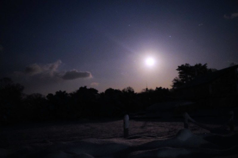 20251102-s6p0c 20251102-s6p0c