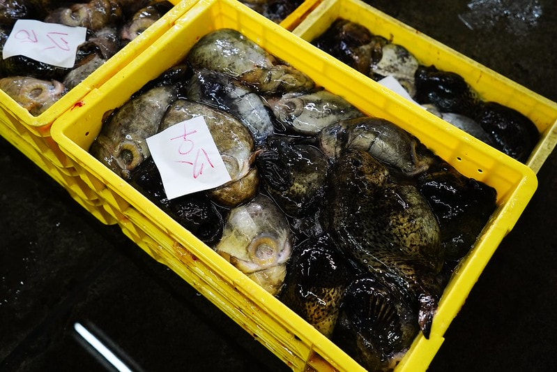 20251102-unyw0 20251102-unyw0